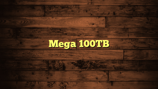 Mega 100TB